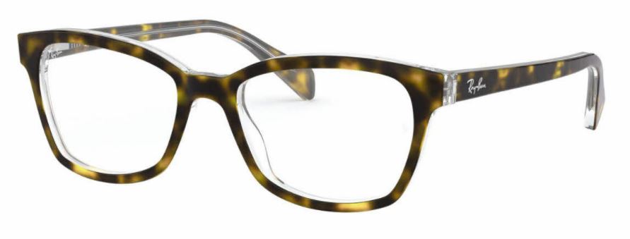 Close-up of tortoiseshell eyeglass frame with clear lenses.